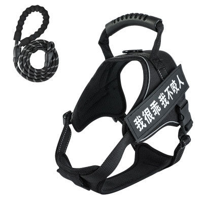 Pet harness with leash