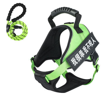 Pet harness with leash