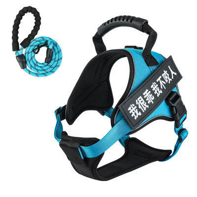 Pet harness with leash