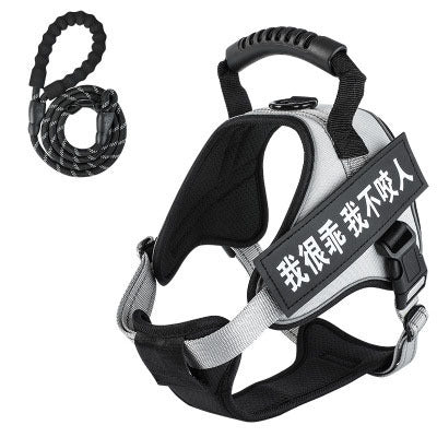 Pet harness with leash