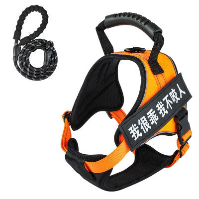 Pet harness with leash