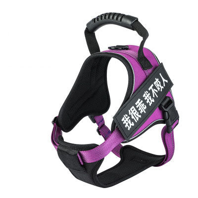 Pet Harness