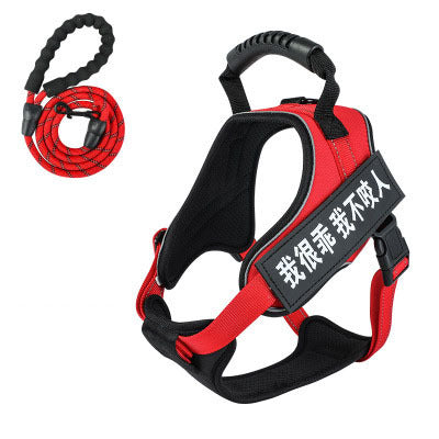 Pet harness with leash