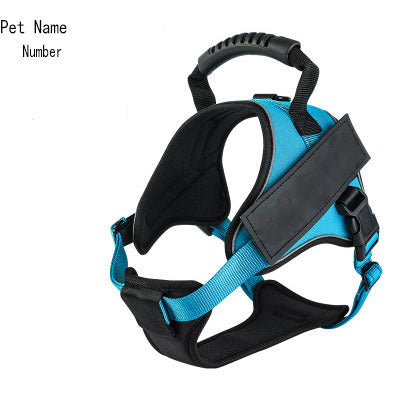 Pet harness with leash