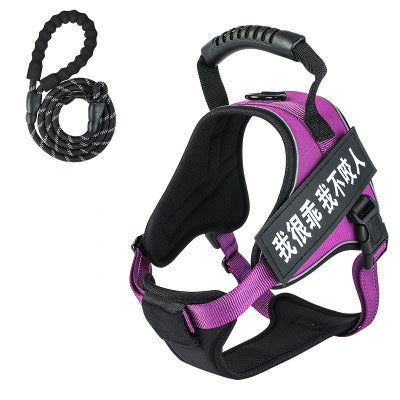 Pet harness with leash