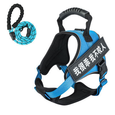 Pet harness with leash