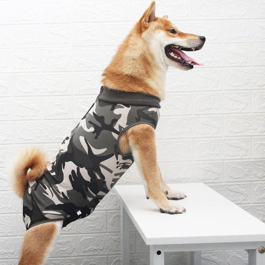 Fashion Personality Multi-color Pet Clothes