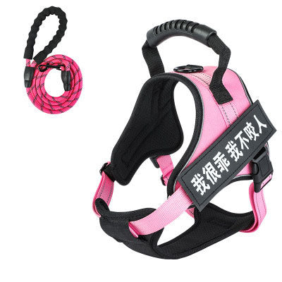 Pet harness with leash