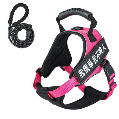 Pet harness with leash