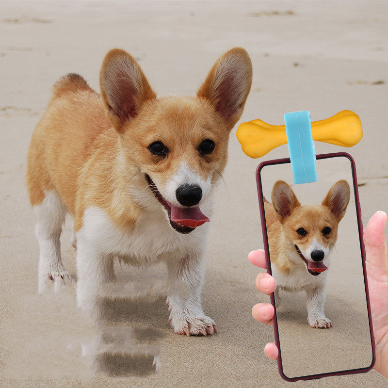 Pet selfie camera lens